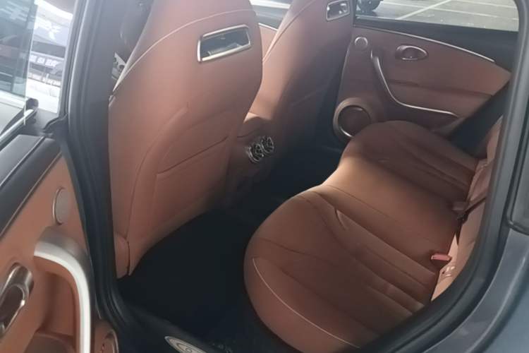 Used ORA Lightning Cat 2022 555 km Luxury Edition Left Rear Seat
