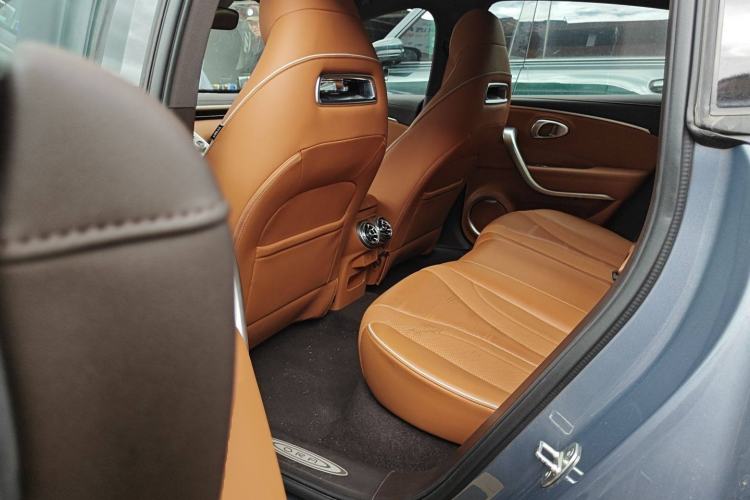 Used ORA Lightning Cat 2022 555 km Luxury Edition Left Rear Seat