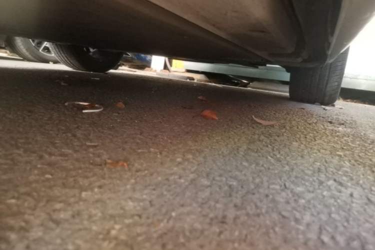 Used ORA Lightning Cat 2022 555 km Luxury Edition Left Side Sill