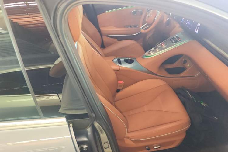 Used ORA Lightning Cat 2022 555 km Luxury Edition Right Front Seat