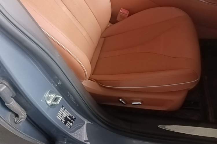 Used ORA Lightning Cat 2022 555 km Luxury Edition Right Front Seat