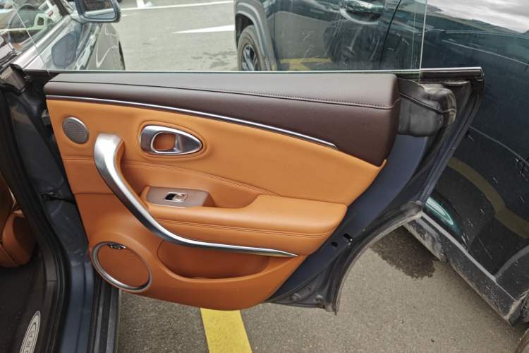 Used ORA Lightning Cat 2022 555 km Luxury Edition Right Rear Door Interior