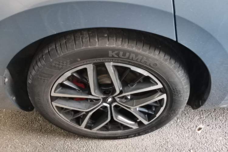 Used ORA Lightning Cat 2022 555 km Luxury Edition Right Rear Wheel Hub