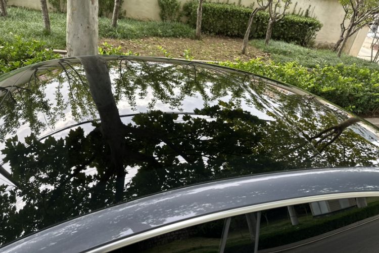 Used ORA Lightning Cat 2022 555 km Luxury Edition Roof