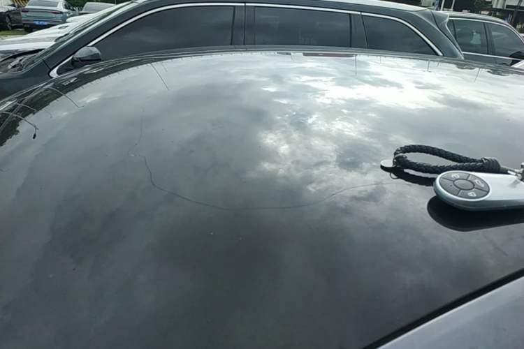 Used ORA Lightning Cat 2022 555 km Luxury Edition Roof