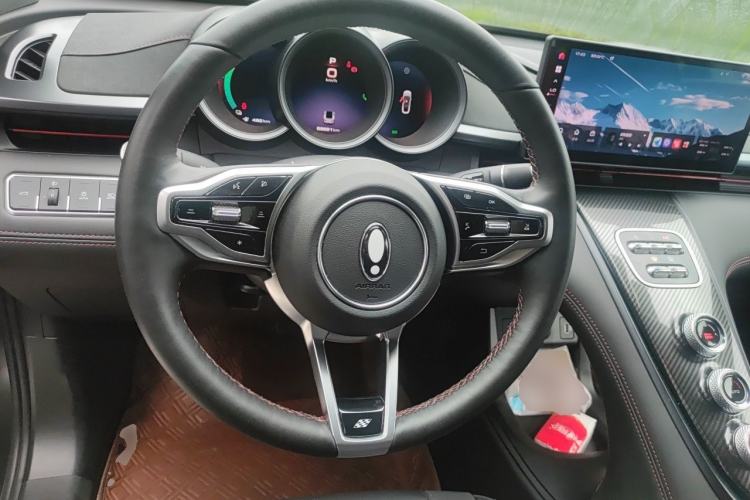 Used ORA Lightning Cat 2022 555 km Luxury Edition Steering Wheel