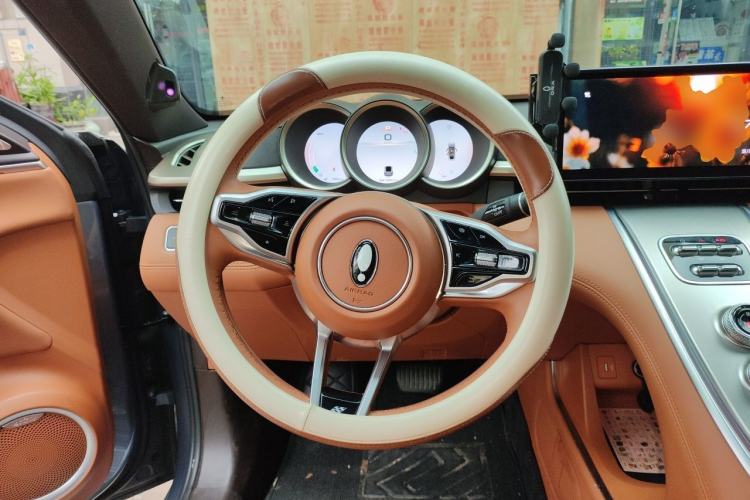 Used ORA Lightning Cat 2022 555 km Luxury Edition Steering Wheel