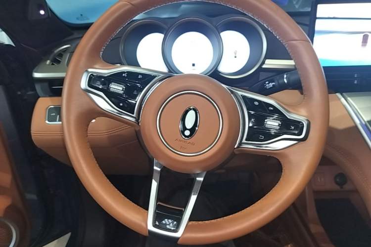 Used ORA Lightning Cat 2022 555 km Luxury Edition Steering Wheel