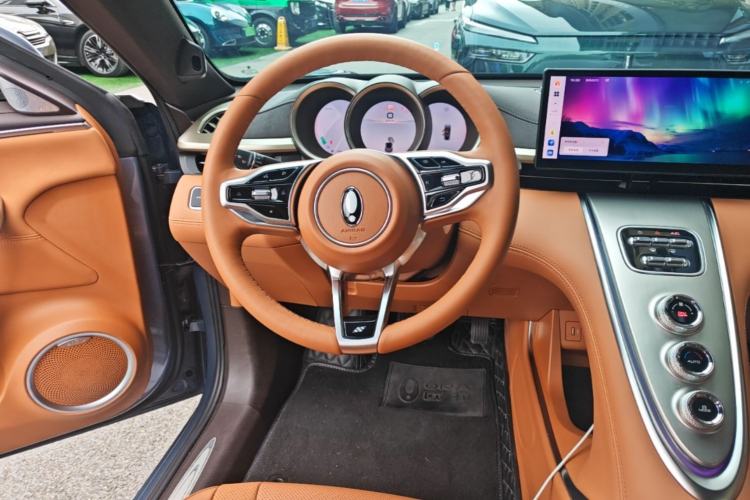 Used ORA Lightning Cat 2022 555 km Luxury Edition Steering Wheel