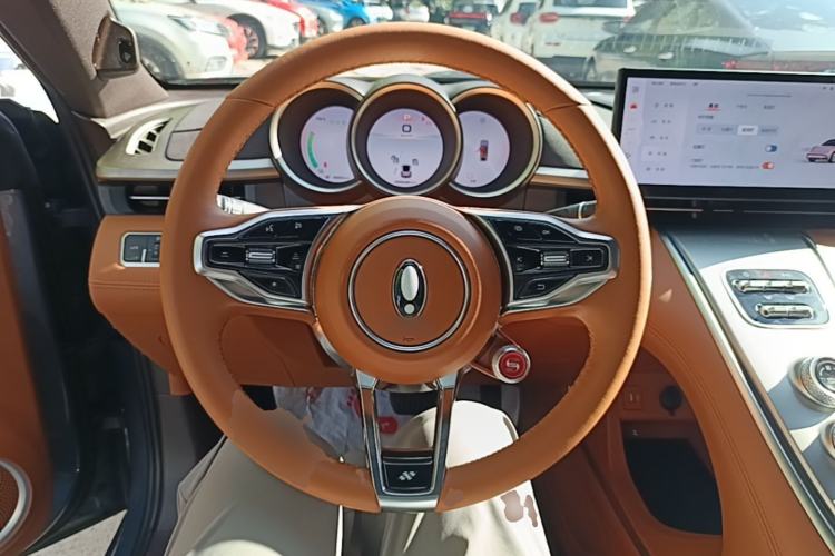 Used ORA Lightning Cat 2022 600 km All-Wheel Drive High-Performance Version Steering Wheel