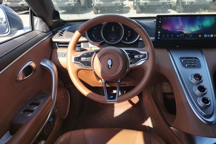 Used ORA Lightning Cat 2022 555 km Luxury Edition Steering Wheel