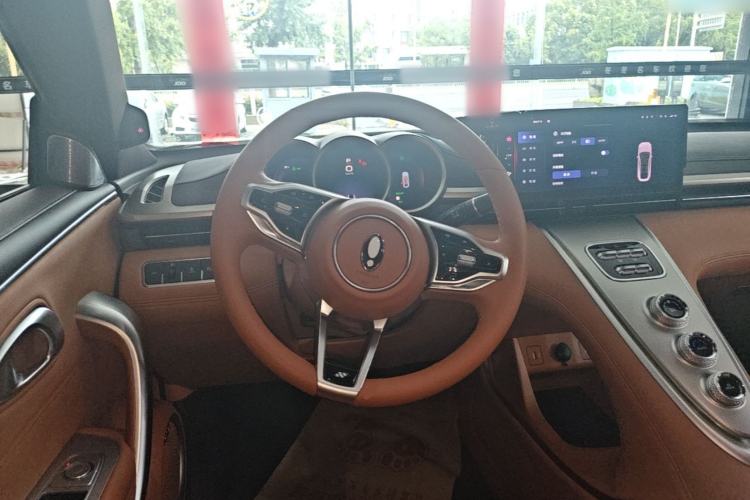 Used ORA Lightning Cat 2022 555 km Luxury Edition Steering Wheel