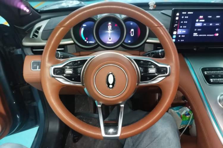 Used ORA Lightning Cat 2022 555 km Luxury Edition Steering Wheel