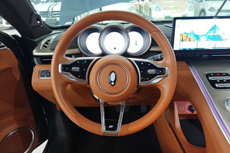 Used ORA Lightning Cat 2022 555 km Luxury Edition Steering Wheel