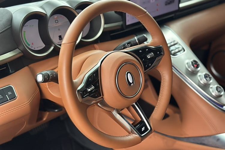 Used ORA Lightning Cat 2022 555 km Luxury Edition Steering Wheel