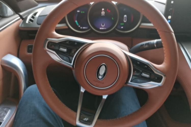 Used ORA Lightning Cat 2022 555 km Luxury Edition Steering Wheel