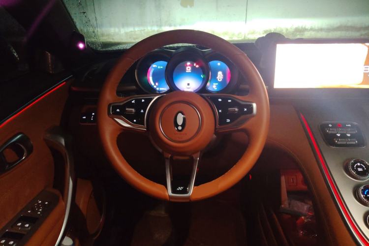 Used ORA Lightning Cat 2022 555 km Luxury Edition Steering Wheel