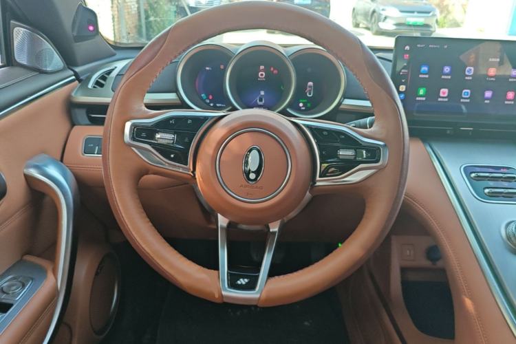 Used ORA Lightning Cat 2022 555 km Luxury Edition Steering Wheel
