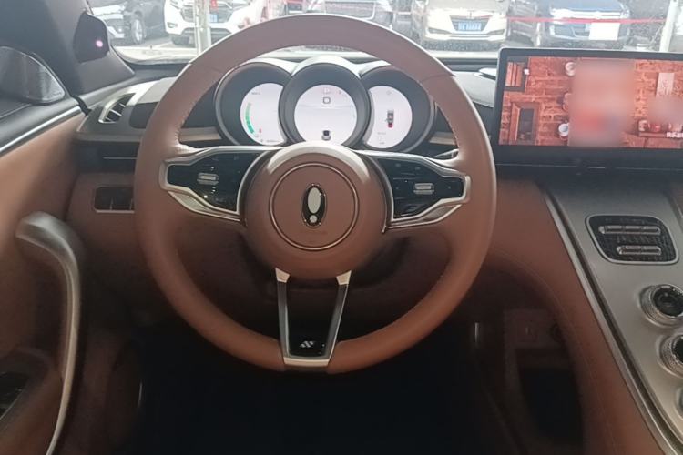 Used ORA Lightning Cat 2022 555 km Luxury Edition Steering Wheel