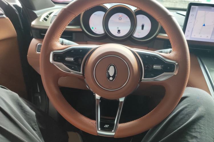 Used ORA Lightning Cat 2022 555 km Luxury Edition Steering Wheel