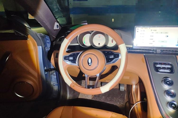 Used ORA Lightning Cat 2022 555 km Luxury Edition Steering Wheel