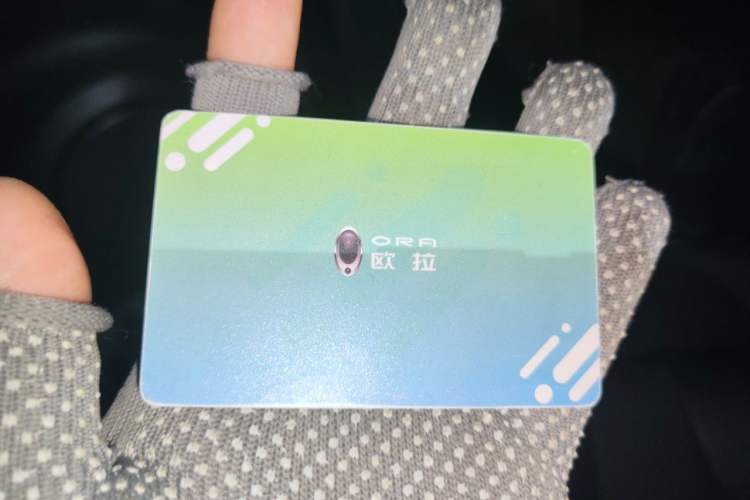 Used ORA Lightning Cat 2022 555 km Luxury Edition Vehicle Key