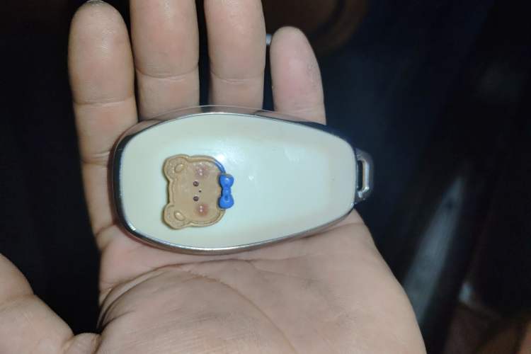 Used ORA Lightning Cat 2022 555 km Luxury Edition Vehicle Key