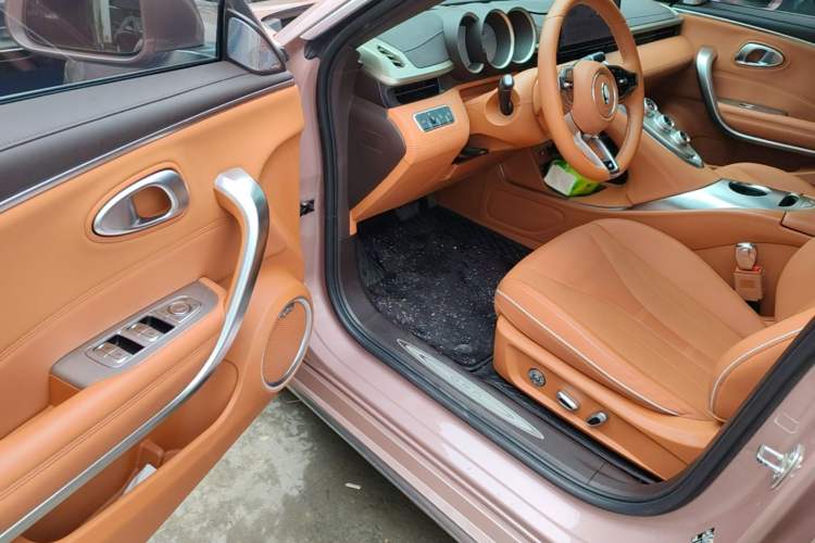 Used ORA Lightning Cat 2022 555 km Luxury Edition Driver Seat