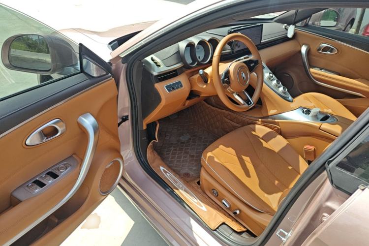 Used ORA Lightning Cat 2022 555 km Luxury Edition Driver Seat
