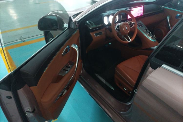 Used ORA Lightning Cat 2022 555 km Luxury Edition Driver Seat