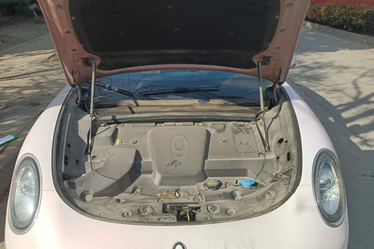 Used ORA Lightning Cat 2022 555 km Luxury Edition Engine Bay