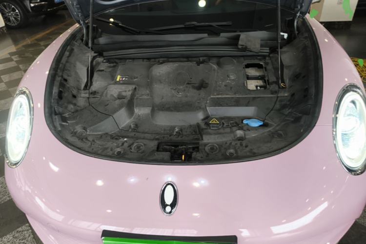Used ORA Lightning Cat 2022 555 km Luxury Edition Engine Bay