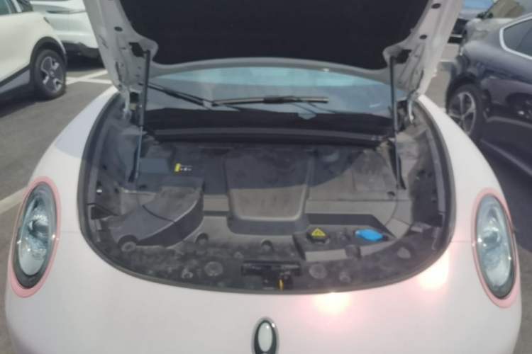 Used ORA Lightning Cat 2022 555 km Luxury Edition Engine Bay