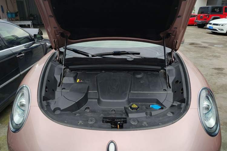 Used ORA Lightning Cat 2022 555 km Luxury Edition Engine Bay