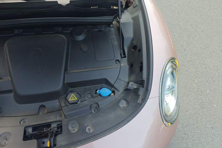 Used ORA Lightning Cat 2022 555 km Luxury Edition Engine Bay Left
