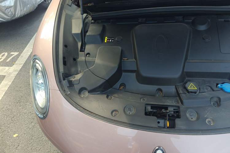 Used ORA Lightning Cat 2022 555 km Luxury Edition Engine Bay Right