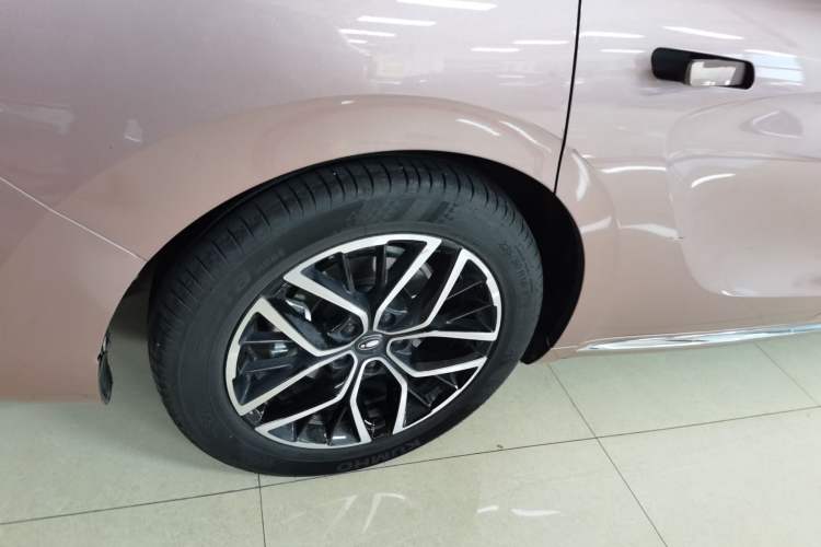 Used ORA Lightning Cat 2022 555 km Luxury Edition Exterior 5