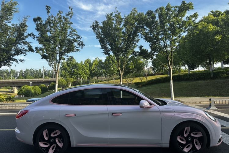 Used ORA Lightning Cat 2022 555 km Luxury Edition Exterior 5