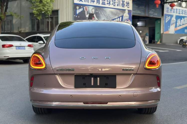 Used ORA Lightning Cat 2022 600 km All-Wheel Drive High-Performance Version Exterior 6