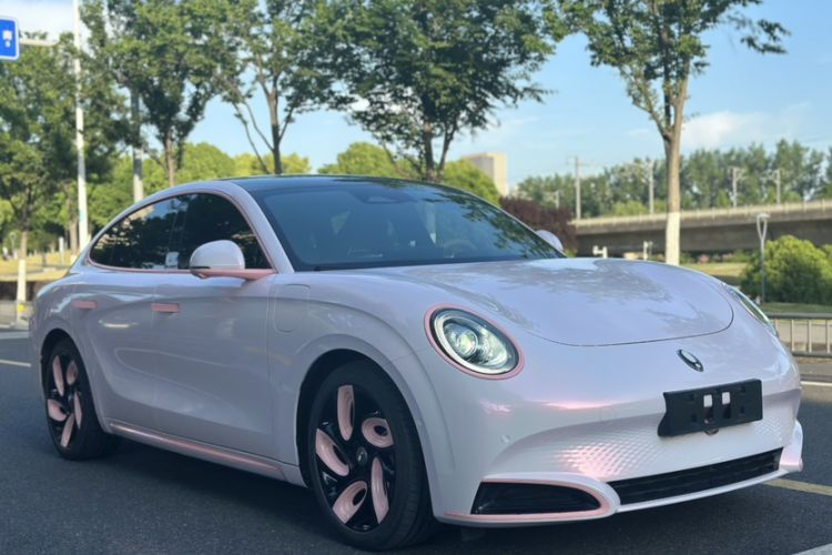 Used ORA Lightning Cat 2022 555 km Luxury Edition Exterior 6