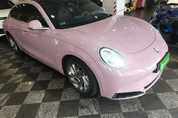 Used ORA Lightning Cat 2022 555 km Luxury Edition Front Right 45 Deg