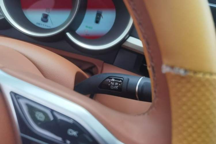 Used ORA Lightning Cat 2022 555 km Luxury Edition Gear Lever