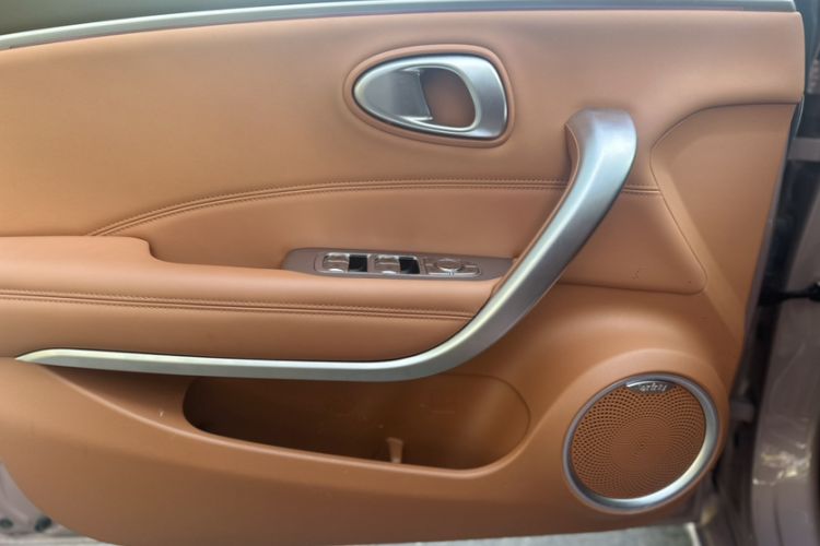 Used ORA Lightning Cat 2022 555 km Luxury Edition Interior 1