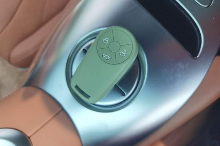 Used ORA Lightning Cat 2022 555 km Luxury Edition Interior 1