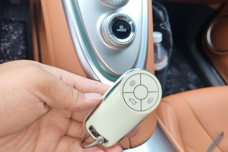 Used ORA Lightning Cat 2022 555 km Luxury Edition Interior 1