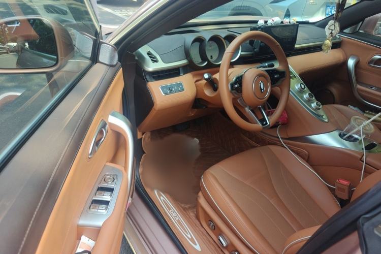 Used ORA Lightning Cat 2022 555 km Luxury Edition Interior 3