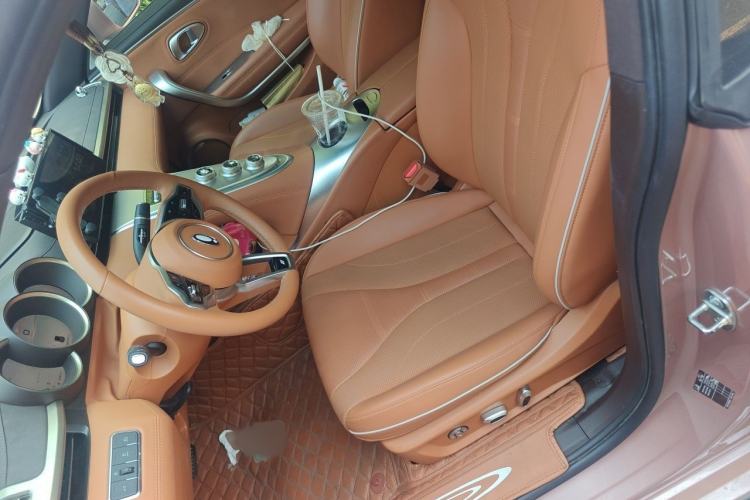 Used ORA Lightning Cat 2022 555 km Luxury Edition Left Front Seat