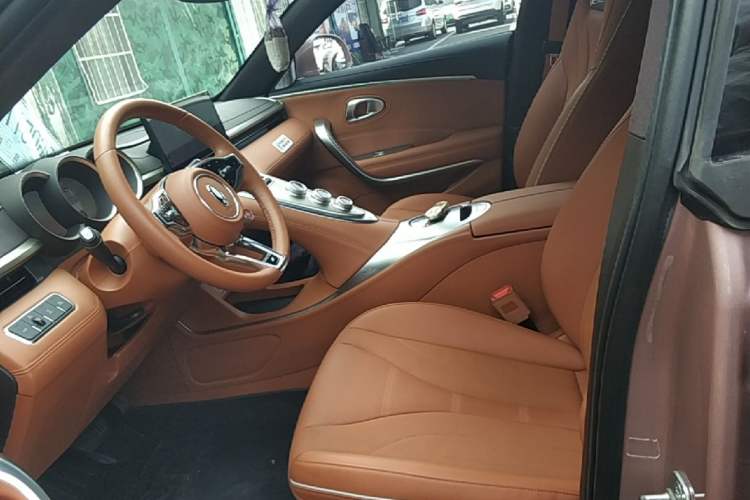 Used ORA Lightning Cat 2022 600 km All-Wheel Drive High-Performance Version Left Front Seat