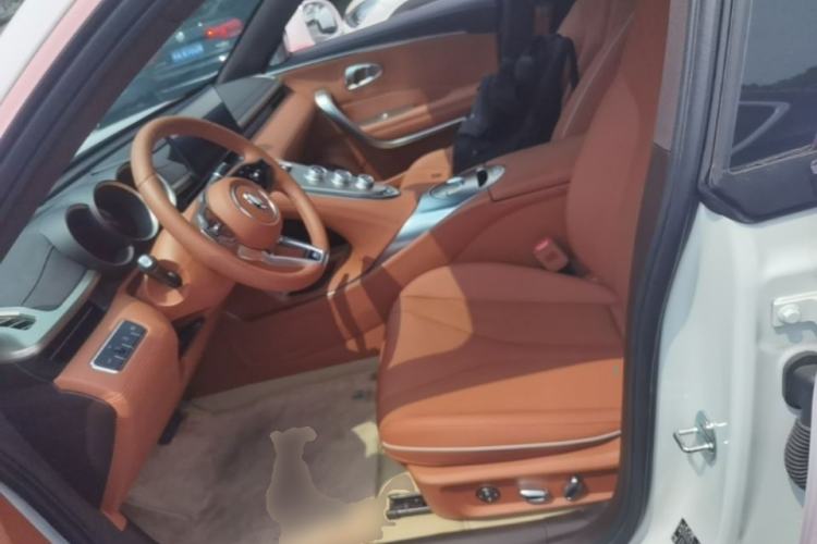 Used ORA Lightning Cat 2022 555 km Luxury Edition Left Front Seat