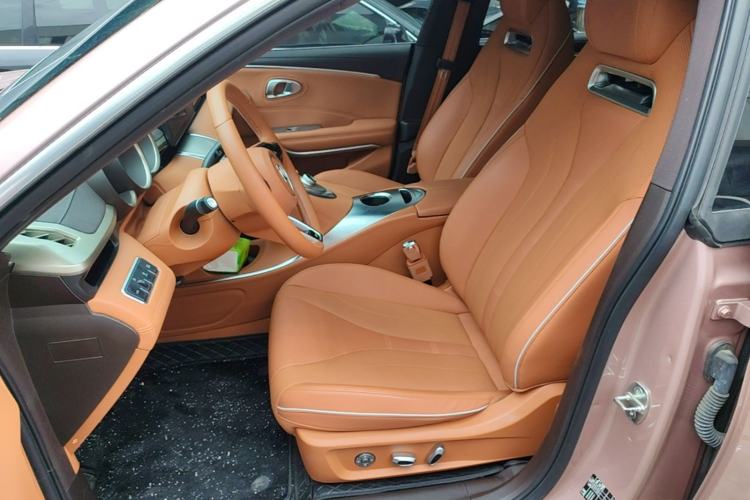 Used ORA Lightning Cat 2022 555 km Luxury Edition Left Front Seat